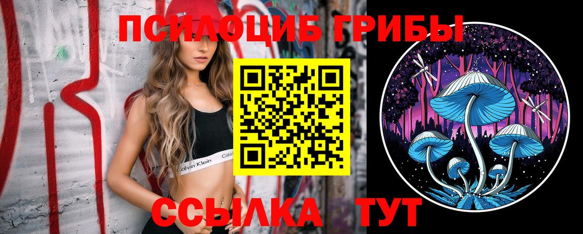 Галлюциногенные грибы мицелий  Вход с VPN  Псилоцибиновые грибы ЛСД  хочу   Муром 