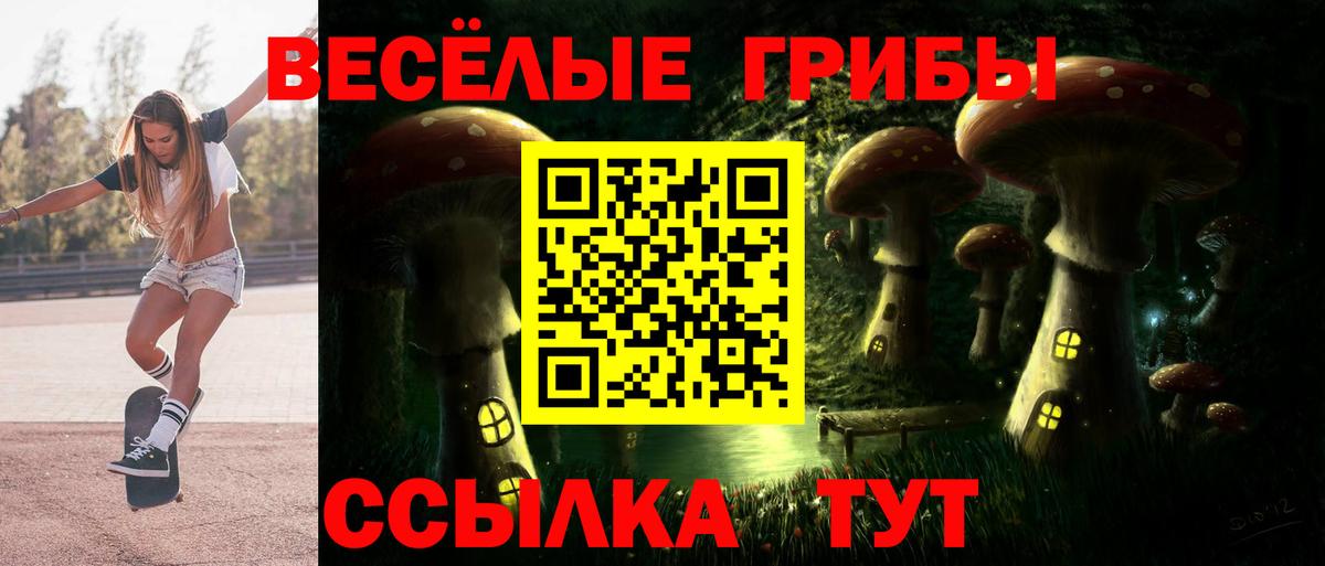 Галлюциногенные грибы Psilocybe Муром